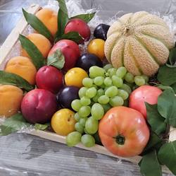 Da Piera frutta,verdura e non solo, Moliterno orari di apertura