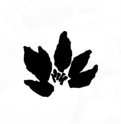 Aikido Renwakai Sarzana, orari di apertura