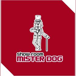 mister dog show room (Via Fanelli), Bari orari di apertura