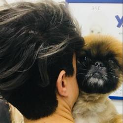 MI FIDO DI TE, Capurso orari di apertura