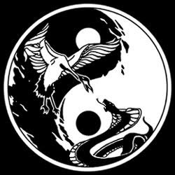 Wing chun Basement Cardano al Campo, orari di apertura