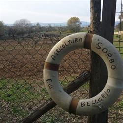 Agricoltura Sorbo, Cerveteri orari di apertura