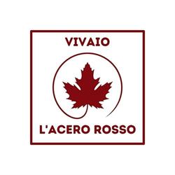 Vivai L'acero Rosso, Latina orari di apertura