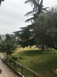 Piccola Pietra, Guidonia orari di apertura