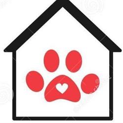 Pet's House - di Nazzaro Eleocadia, Salerno orari di apertura