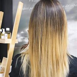 Ceralacca unisex, Medesano orari di apertura