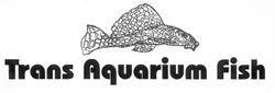 Trans Aquarium Fish, Scalenghe orari di apertura