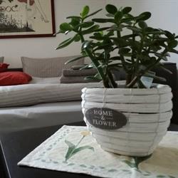 Comforty - Tourist apartment in Verona for your holidays, orari di apertura