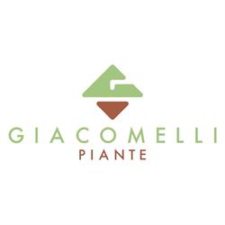 Giacomelli Piante, Pistoia orari di apertura