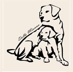 Labrador della Mianna, Ladispoli orari di apertura