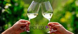 Cantina Polesel, Oderzo orari di apertura