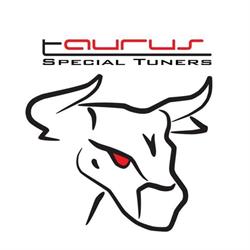 Taurus Special Tuners - Tuning & Racing Distributor, Grugliasco orari di apertura