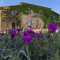 Piancasale b&b, Sorano orari di apertura