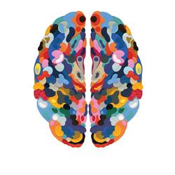 healthy_brain_institute, Roma orari di apertura