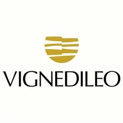 Vignedileo, Staffolo orari di apertura