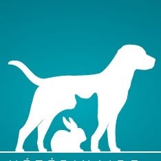 Centro Veterinario Avallone, Roma orari di apertura