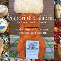 Sapori di Calabria di Cocciolo Fortunato, San Calogero orari di apertura