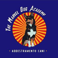 The Marvel Dog Academy - Addestramento cinofilo, al Tartufo e Trekking, Pinzano al Tagliamento orari di apertura