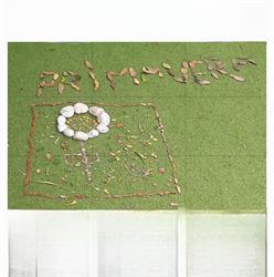 Coi & Saint Michel School, Roma orari di apertura