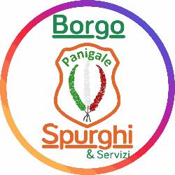 Borgo Panigale Spurghi & Servizi, Bologna orari di apertura