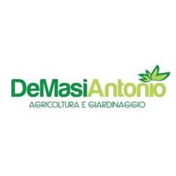 De Masi Antonio Agricoltura e Giardinaggio Laterina Pergine Valdarno, Pieve A Presciano - Orari di apertura