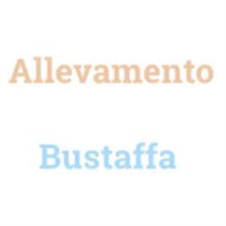 Allevamento Bustaffa, Cavriana orari di apertura