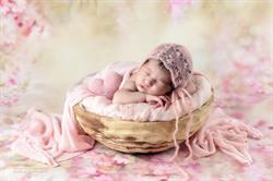 Brianti PhotoArt - Studio fotografico Cerrione, Vergnasco - Orari di apertura