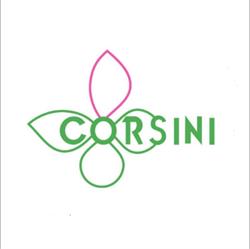 Corsini Corredi, Maglie orari di apertura