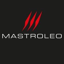 Mastroleo TRICASE - Auto NUOVE & USATE & NOLEGGIO Salento, Lucugnano orari di apertura