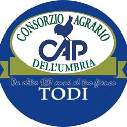Consorzio Agrario Dell'Umbria Soc Coop Acronimo Cau Ovvero Cadu, Todi orari di apertura