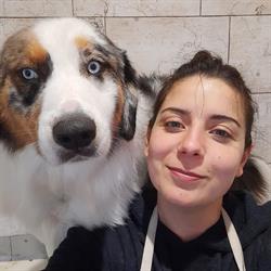 Sweety Pet, Lonigo orari di apertura