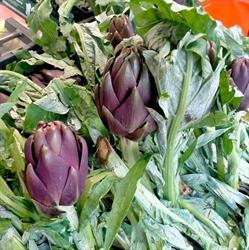 La Delizia 2 Frutta e Verdura, Piossasco orari di apertura