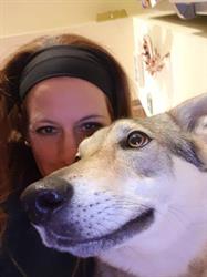 Ambulatorio Veterinario Gli Amici di Martina, Matelica orari di apertura