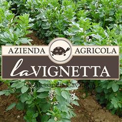 Azienda Agricola La Vignetta, Savona orari di apertura