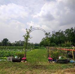 Al Giardino Segreto, Busto Arsizio orari di apertura