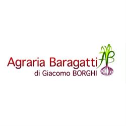 Agraria Baragatti Di Borghi Giacomo, Certaldo orari di apertura