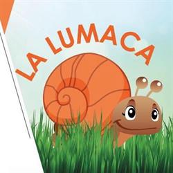 La Lumaca, Marsicovetere orari di apertura