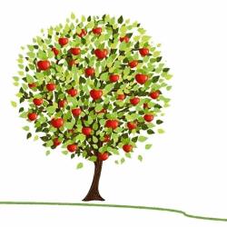 Dott.ssa Rosa Defilippis - Psicologa Psicoterapeuta, Rutigliano orari di apertura