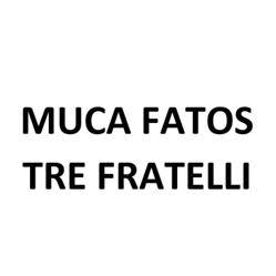 Muca Fatos Tre Fratelli, Roma orari di apertura