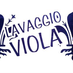 Autolavaggio Viola, Firenze orari di apertura