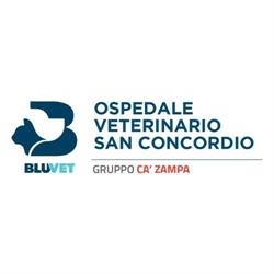 Ospedale Veterinario San Concordio - Pronto Soccorso Veterinario H24 - BluVet, Lucca orari di apertura