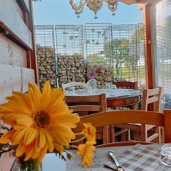 Trattoria Sant'Andrea, Faenza orari di apertura