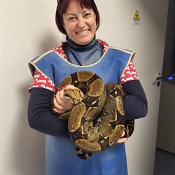 Ambulatorio Veterinario Toscano Simona, Torino orari di apertura