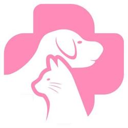 Ambulatorio Veterinario dott.ssa Fiorella Messaggeri, Borgoricco orari di apertura