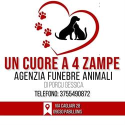 Un Cuore a 4 Zampe, Pabillonis orari di apertura