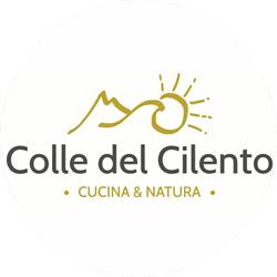 Colle del Cilento, Ogliastro Cilento orari di apertura