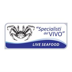 Specialisti del ViVo - SDV srl, Misano Adriatico orari di apertura