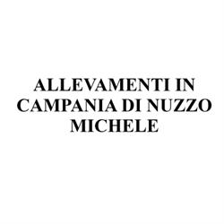 Allevamenti in Campania, Santa Maria a Vico orari di apertura