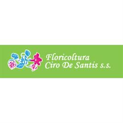 Floricoltura Ciro De Santis S.S. Societa' Agricola, Piacenza orari di apertura