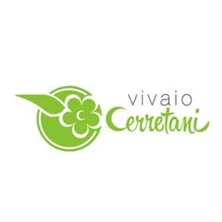 Vivaio Cerretani Roberto, Siena orari di apertura